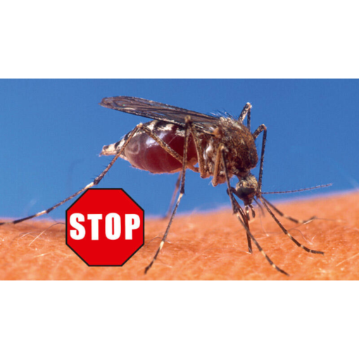 CareLine Insekten-STOP 100 ml Hautschutz vor Insekten CareLine Insekten-STOP 100 ml Hautschutz vor Insekten