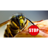 CareLine Insekten-STOP 100 ml Hautschutz vor Insekten CareLine Insekten-STOP 100 ml Hautschutz vor Insekten
