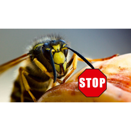 CareLine Insekten-STOP 100 ml Hautschutz vor Insekten CareLine Insekten-STOP 100 ml Hautschutz vor Insekten