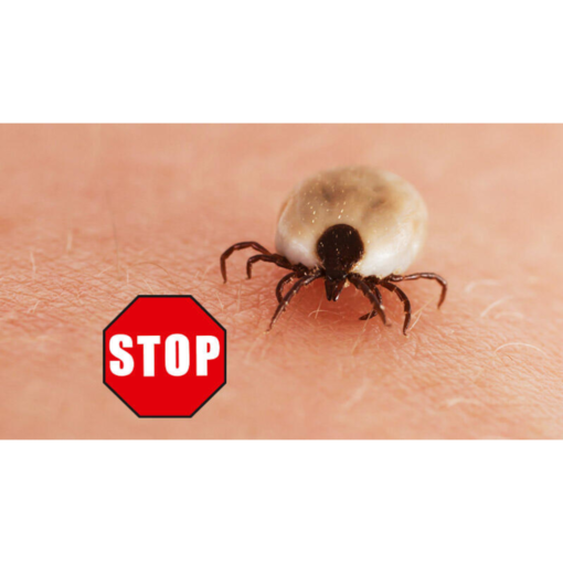 CareLine Insekten-STOP 100 ml Hautschutz vor Insekten CareLine Insekten-STOP 100 ml Hautschutz vor Insekten